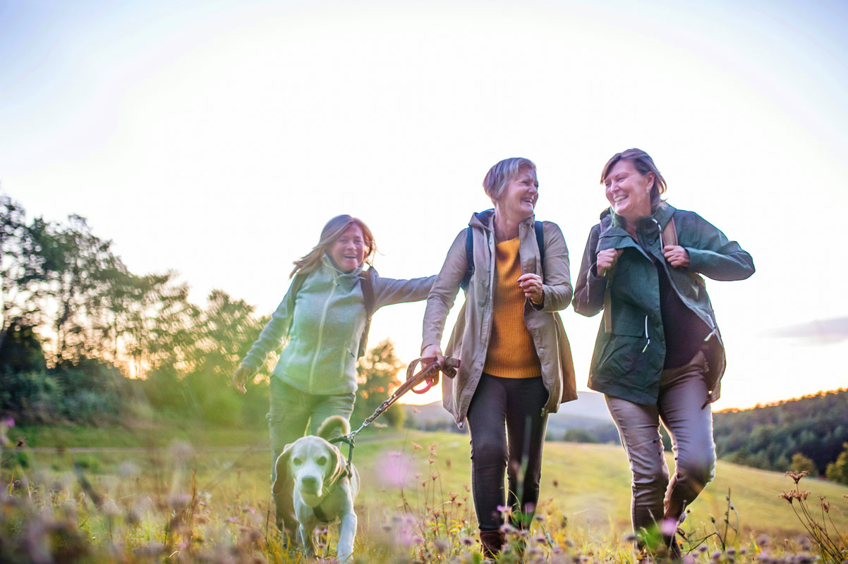 Panoramaaufnahme vom Campingplatz am Belauer See – weitläufiges Gelände für Camping, Mobilheime und Tiny Houses in der Holsteinischen Schweiz.