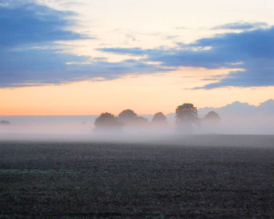 Schöne Natur am Morgen auf dem Campingplatz Belauer See in Schleswig Holstein